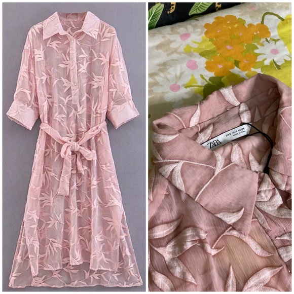 Zara Dresses & Skirts - ZARA Semi Sheer Embroidered Belt Dress